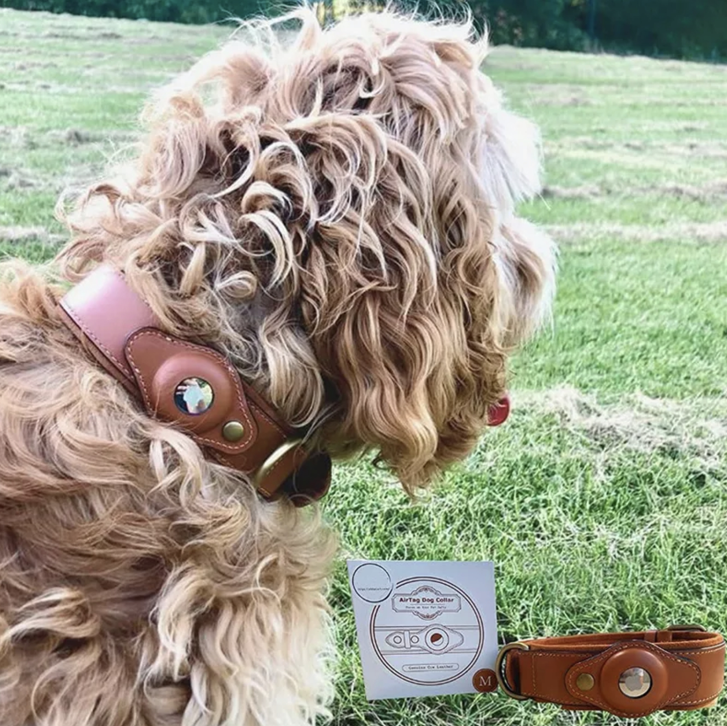 Airtag Dog Collar, Reflective Air Tag Dog Collar For Apple Airtags -  Adjustable Durable Heavy Duty Dog Collar With Airtag Holder